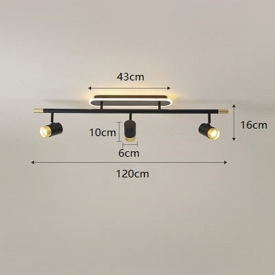 PLH Surface Ceiling Mount 2/3 Heads Aluminium Alloy Rotatable Spotlight Tri Tone with Remote Control