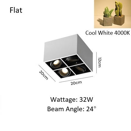 PLH Square 4 Head Trunk Surface Mount Ceiling Spotlight with Aperture and Angle Adjustment