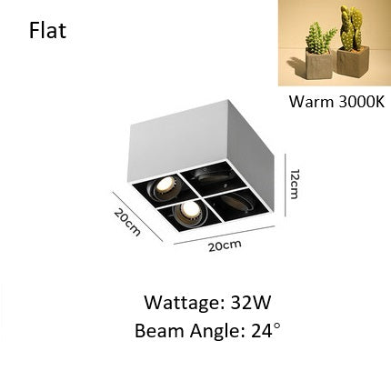 PLH Square 4 Head Trunk Surface Mount Ceiling Spotlight with Aperture and Angle Adjustment