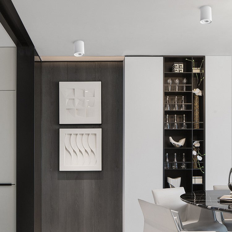 PLH OVA Surface Mount Ceiling Downlight