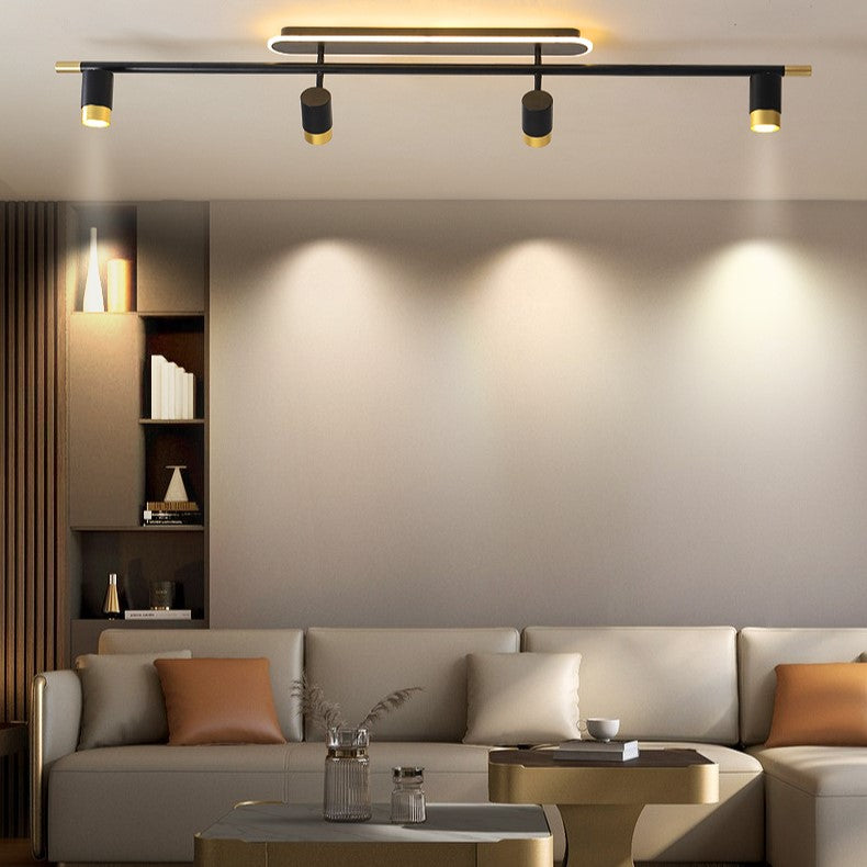 PLH Surface Ceiling Mount 2/3 Heads Aluminium Alloy Rotatable Spotlight Tri Tone with Remote Control