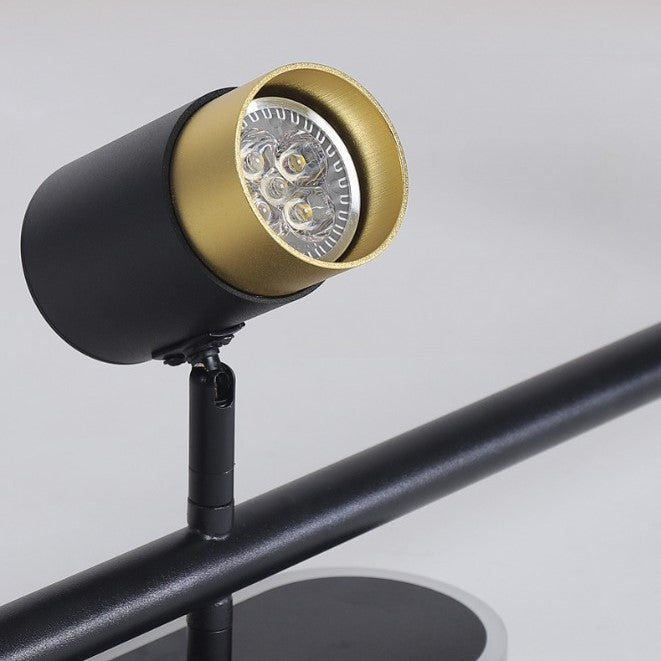 PLH Surface Ceiling Mount 2/3 Heads Aluminium Alloy Rotatable Spotlight Tri Tone with Remote Control