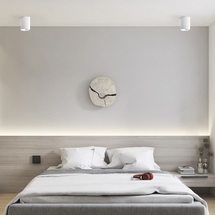 PLH OVA Surface Mount Ceiling Downlight