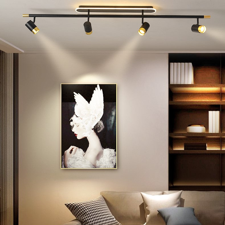 PLH Surface Ceiling Mount 2/3 Heads Aluminium Alloy Rotatable Spotlight Tri Tone with Remote Control