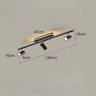 PLH Surface Ceiling Mount 2/3 Heads Aluminium Alloy Rotatable Spotlight Tri Tone with Remote Control