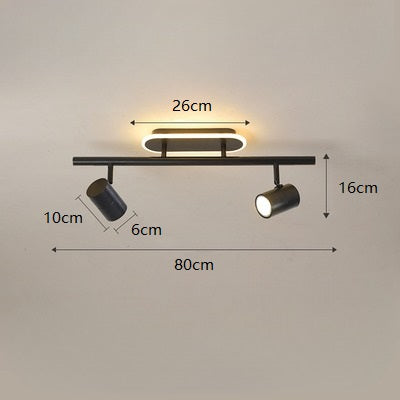 PLH Surface Ceiling Mount 2/3 Heads Aluminium Alloy Rotatable Spotlight Tri Tone with Remote Control