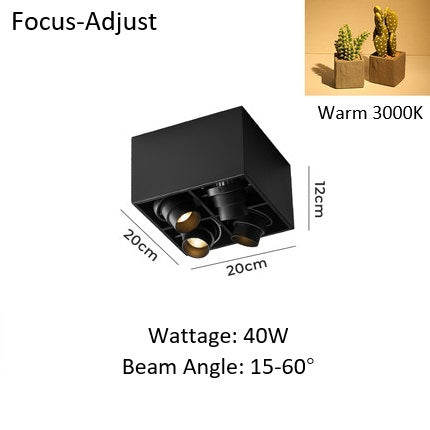 PLH Square 4 Head Trunk Surface Mount Ceiling Spotlight with Aperture and Angle Adjustment