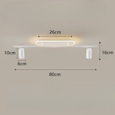 PLH Surface Ceiling Mount 2/3 Heads Aluminium Alloy Rotatable Spotlight Tri Tone with Remote Control