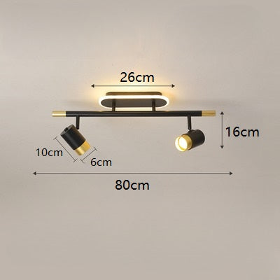 PLH Surface Ceiling Mount 2/3 Heads Aluminium Alloy Rotatable Spotlight Tri Tone with Remote Control