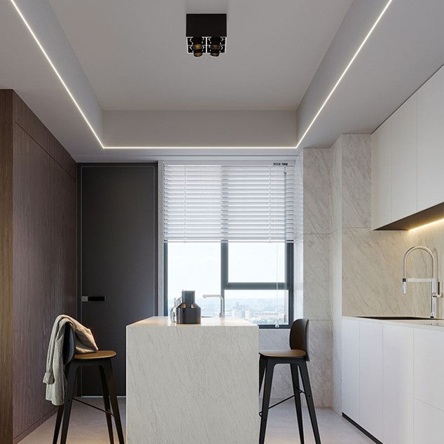 PLH Square 4 Head Trunk Surface Mount Ceiling Spotlight with Aperture and Angle Adjustment