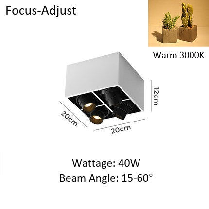 PLH Square 4 Head Trunk Surface Mount Ceiling Spotlight with Aperture and Angle Adjustment