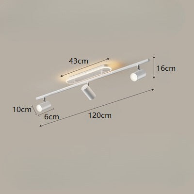 PLH Surface Ceiling Mount 2/3 Heads Aluminium Alloy Rotatable Spotlight Tri Tone with Remote Control